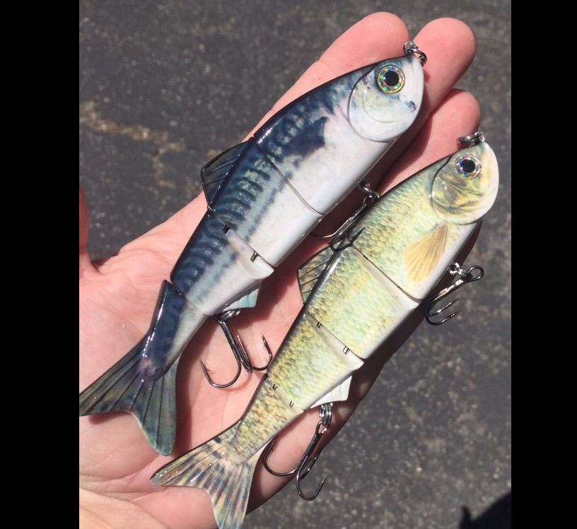 6" Flyline baits are available in sardine and Mac pattern