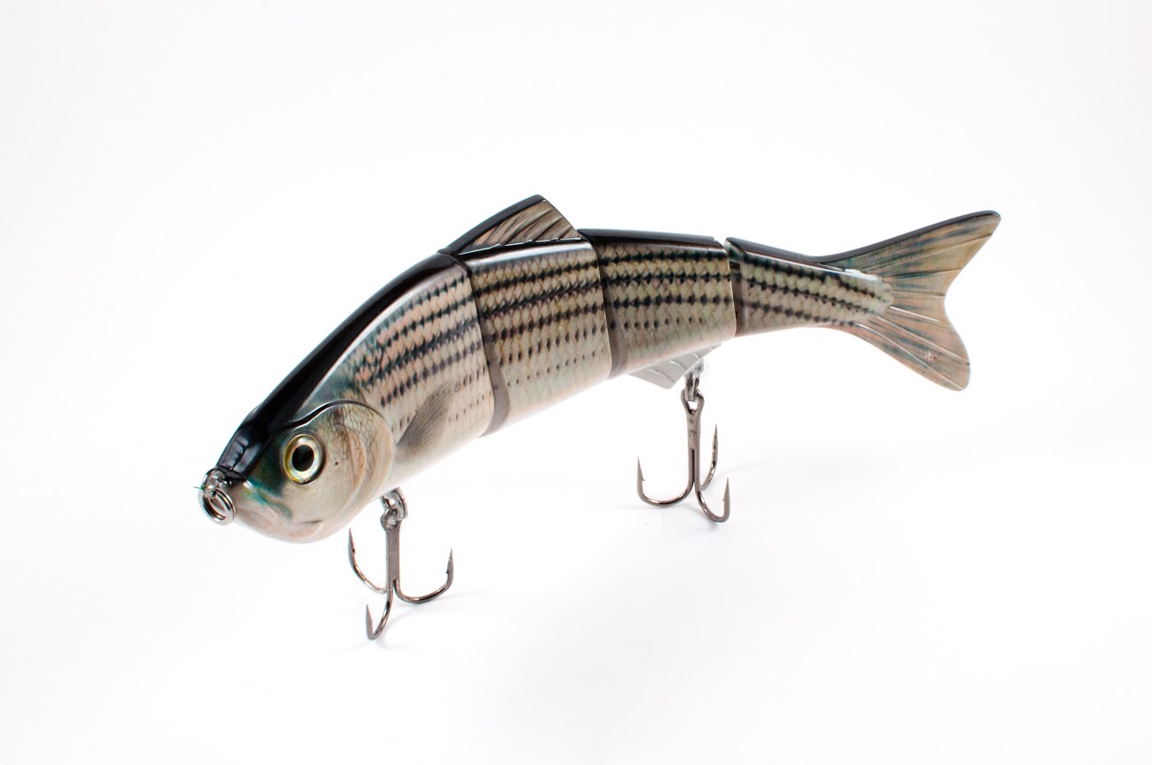 New realistic Striped bass swimbait is sure to get slammed at your favorite spot!