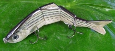 Great bait for big freshwater fish! This Striped Bass design is one of our most popular! 