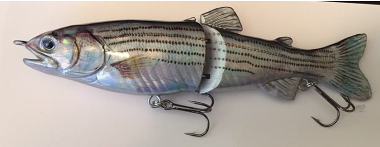 8" foiled striper glide bait is perfect for getting that big one to bite!